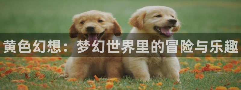 omofun怎么下：黄色幻想：梦幻世界里的冒险与乐趣