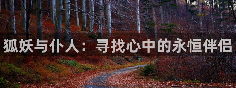omofun官方正版：狐妖与仆人：寻找心中的永恒伴侣