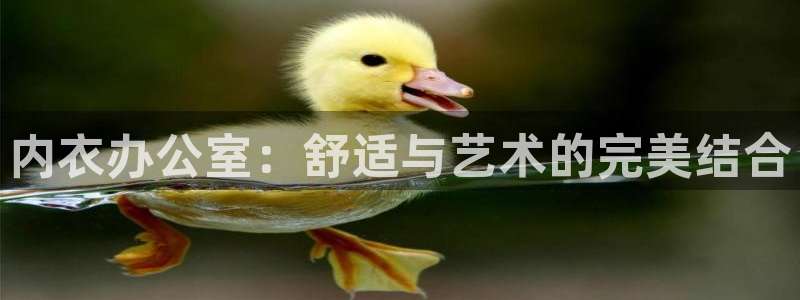 omofun免费正版下载：内衣办公室：舒适与艺术的完美结合