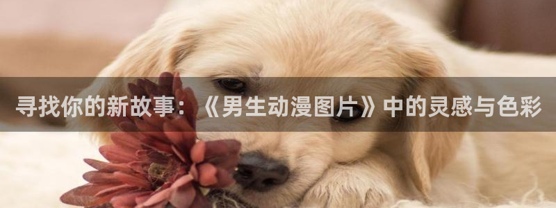 omofun动漫下载最新：寻找你的新故事：《男生动漫图片》中的灵感与色彩