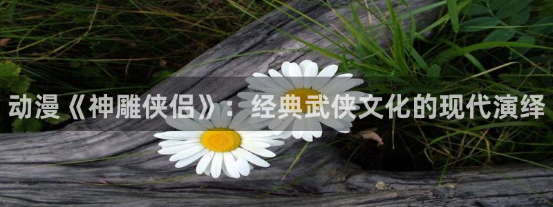 omofun动漫官方下载：动漫《神雕侠侣》：经典武侠文化的现代演绎