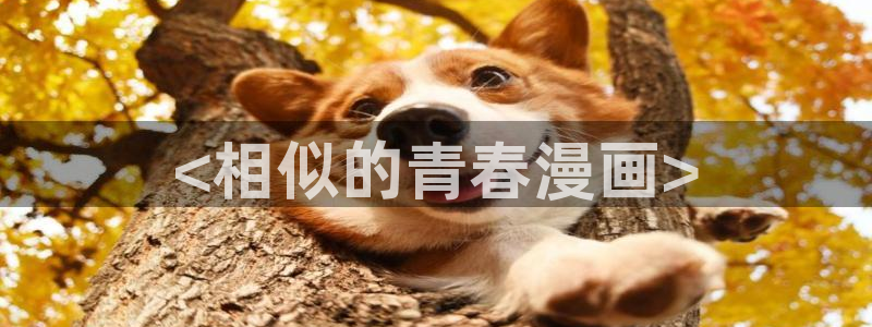omofun动漫软件下载免费版：<相似的青春漫画>