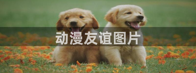 omofun免费正版下载：动漫友谊图片