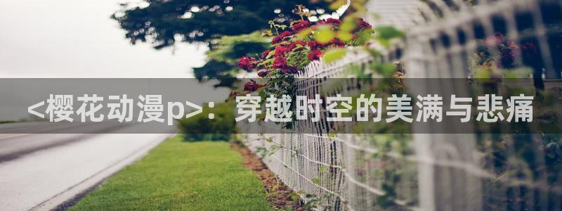 omofun电脑端：<樱花动漫p>：穿越时空的美满与悲痛