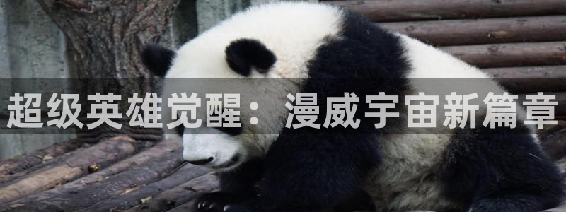 omofun下载ios：超级英雄觉醒：漫威宇宙新篇章