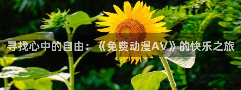 omofun全新版官网入口：寻找心中的自由：《免费动漫AV》的快乐之旅