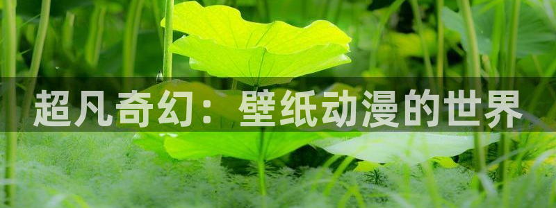 omofun动漫免费看官网入口在哪：超凡奇幻：壁纸动漫的世界